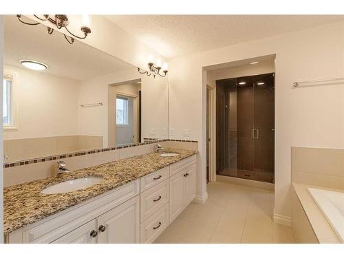 309 Marquis Landing Se, Calgary, AB - Indoor Photo Showing Bathroom