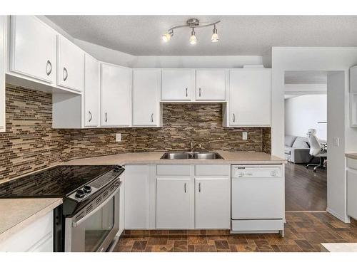 88 Riverbrook Place, Calgary, AB - Indoor Photo Showing Kitchen With Double Sink