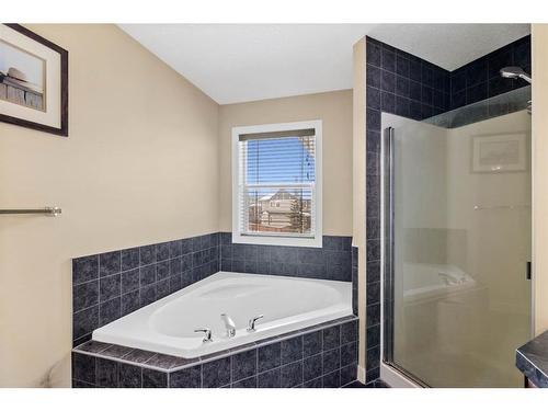 173 Everoak Circle Sw, Calgary, AB - Indoor Photo Showing Bathroom