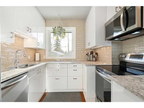 1831 62 Avenue Se, Calgary, AB - Indoor Photo Showing Kitchen With Double Sink With Upgraded Kitchen