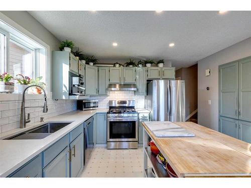 44 Sanderling Rise Nw, Calgary, AB - Indoor Photo Showing Kitchen With Stainless Steel Kitchen With Double Sink With Upgraded Kitchen