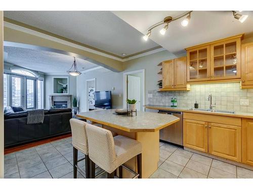 507-1315 12 Avenue Sw, Calgary, AB - Indoor Photo Showing Kitchen With Double Sink