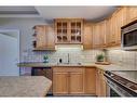 507-1315 12 Avenue Sw, Calgary, AB  - Indoor Photo Showing Kitchen With Stainless Steel Kitchen With Double Sink 