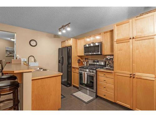 826 Copperfield Boulevard Se, Calgary, AB - Indoor Photo Showing Kitchen With Double Sink