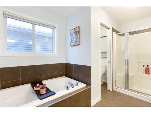 14 Copperstone Drive Se, Calgary, AB - Indoor Photo Showing Bathroom