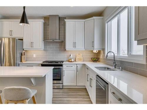 132 Wolf Creek Manor Se, Calgary, AB - Indoor Photo Showing Kitchen With Stainless Steel Kitchen With Double Sink With Upgraded Kitchen