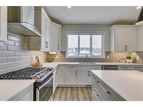 132 Wolf Creek Manor Se, Calgary, AB - Indoor Photo Showing Kitchen With Upgraded Kitchen