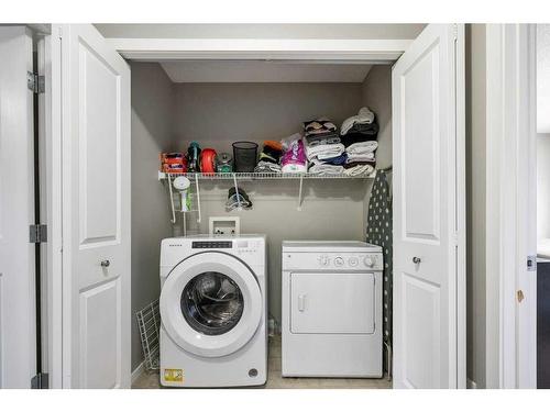 163 Chapalina Square Se, Calgary, AB - Indoor Photo Showing Laundry Room