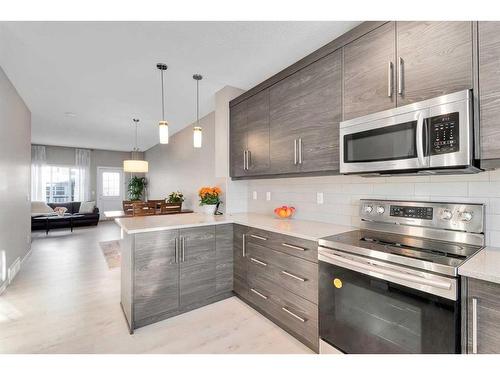 486 Nolan Hill Boulevard Nw, Calgary, AB - Indoor Photo Showing Kitchen With Upgraded Kitchen