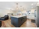 167 Whitestone Crescent Ne, Calgary, AB  - Indoor Photo Showing Kitchen With Upgraded Kitchen 