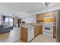 317-92 Saddletree Court NE Calgary, AB T3J 0K9