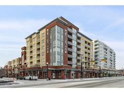 701-1110 3 Avenue NW Calgary, AB T2N 4J3