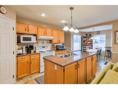 59 Coral Springs Boulevard Ne, Calgary, AB - Indoor Photo Showing Kitchen With Double Sink