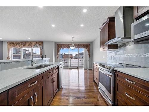 228 Taralake Terrace Ne, Calgary, AB - Indoor Photo Showing Kitchen With Double Sink With Upgraded Kitchen