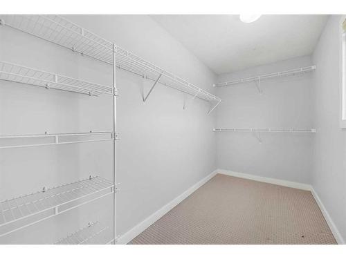 228 Taralake Terrace Ne, Calgary, AB - Indoor With Storage