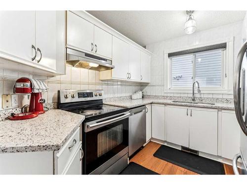 357 Martinwood Place Ne, Calgary, AB - Indoor Photo Showing Kitchen With Upgraded Kitchen