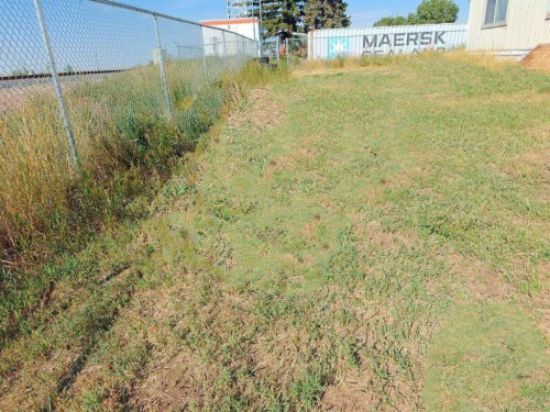 309 1St Avenue, Bassano, AB 