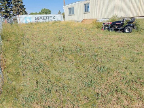 309 1St Avenue, Bassano, AB 