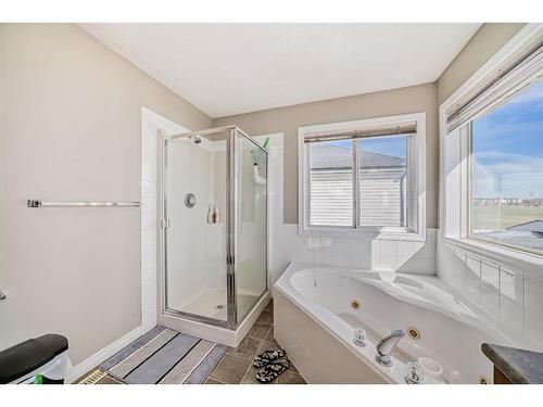 275 Taravista Street Ne, Calgary, AB - Indoor Photo Showing Bathroom