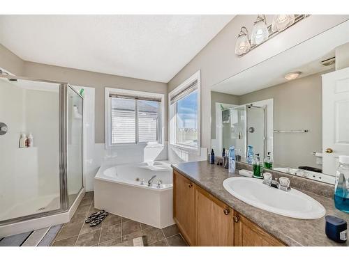 275 Taravista Street Ne, Calgary, AB - Indoor Photo Showing Bathroom