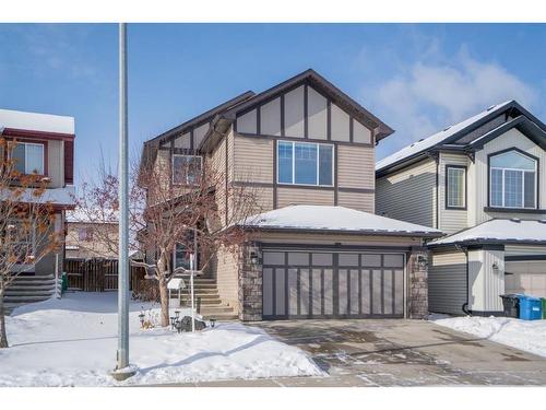 64 Brightonstone Gardens Se, Calgary, AB - Outdoor