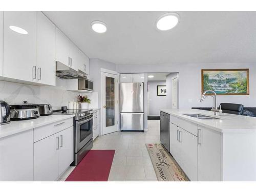 216 Tarawood Place Ne, Calgary, AB - Indoor Photo Showing Kitchen With Stainless Steel Kitchen With Double Sink With Upgraded Kitchen