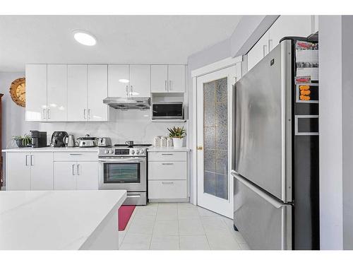 216 Tarawood Place Ne, Calgary, AB - Indoor Photo Showing Kitchen With Stainless Steel Kitchen With Upgraded Kitchen