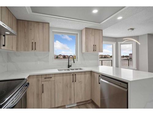 151 Coral Shores Landing Ne, Calgary, AB - Indoor Photo Showing Kitchen With Double Sink