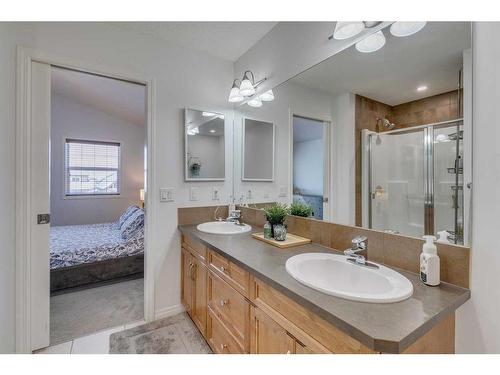 22 Copperstone Green Se, Calgary, AB - Indoor Photo Showing Bathroom