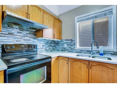 54 Taracove Road Ne, Calgary, AB - Indoor Photo Showing Kitchen With Double Sink