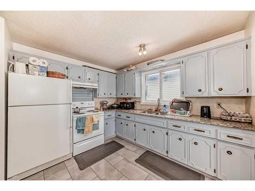 4023 44 Avenue Ne, Calgary, AB - Indoor Photo Showing Kitchen With Double Sink