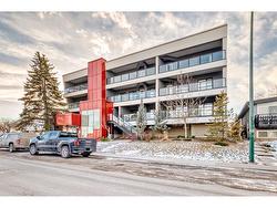 301-1629 38 Street SW Calgary, AB T3C 1T8