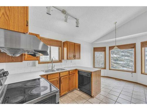 115 Harvest Oak Crescent Ne, Calgary, AB - Indoor Photo Showing Kitchen With Double Sink