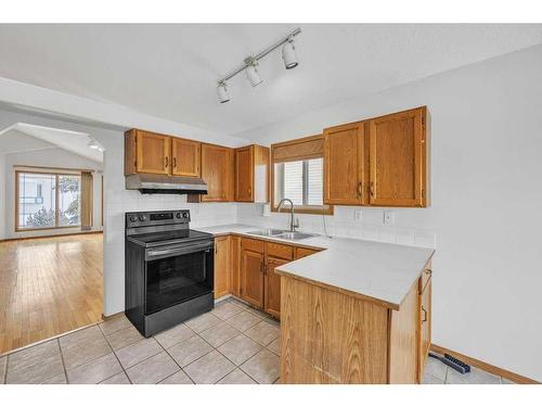 115 Harvest Oak Crescent Ne, Calgary, AB - Indoor Photo Showing Kitchen With Double Sink