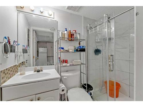 212 Coral Springs Circle Ne, Calgary, AB - Indoor Photo Showing Bathroom