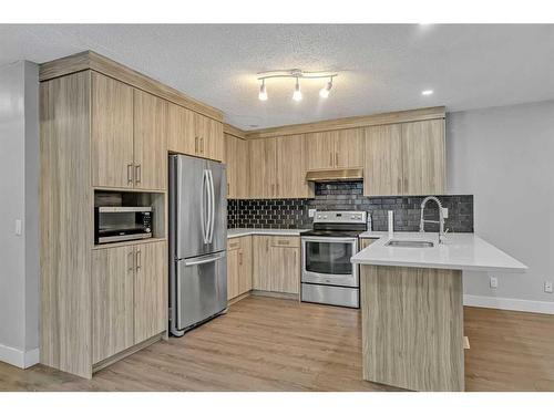 212 Coral Springs Circle Ne, Calgary, AB - Indoor Photo Showing Kitchen With Stainless Steel Kitchen