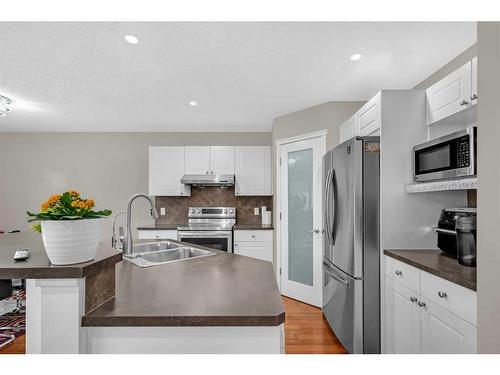 137 Saddlecrest Green Ne, Calgary, AB - Indoor Photo Showing Kitchen With Stainless Steel Kitchen With Double Sink