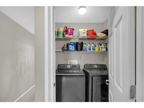 137 Saddlecrest Green Ne, Calgary, AB - Indoor Photo Showing Laundry Room