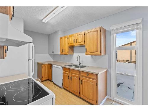 204 Olympia Drive Se, Calgary, AB - Indoor Photo Showing Kitchen With Double Sink