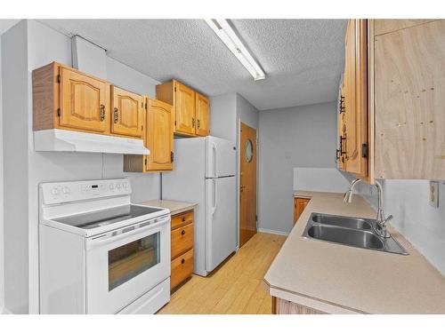 204 Olympia Drive Se, Calgary, AB - Indoor Photo Showing Kitchen With Double Sink