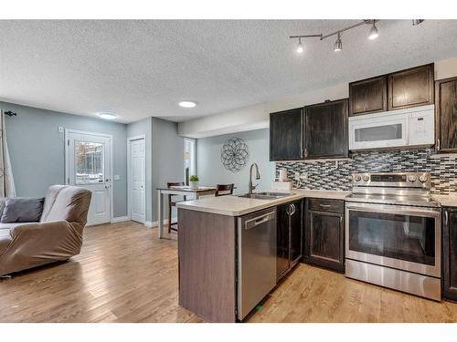 55 Coventry Road Ne, Calgary, AB - Indoor Photo Showing Kitchen With Double Sink With Upgraded Kitchen