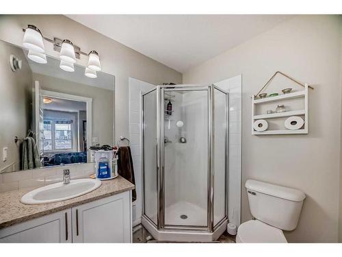 118 Red Embers Gate Ne, Calgary, AB - Indoor Photo Showing Bathroom