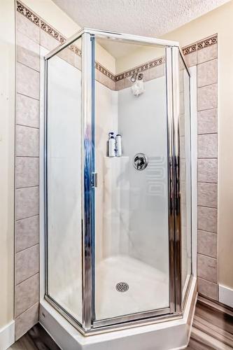 9 Dover Mews Se, Calgary, AB - Indoor Photo Showing Bathroom