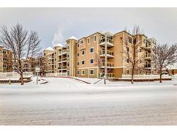 207-290 Shawville Way SE Calgary, AB T2Y 3Z9