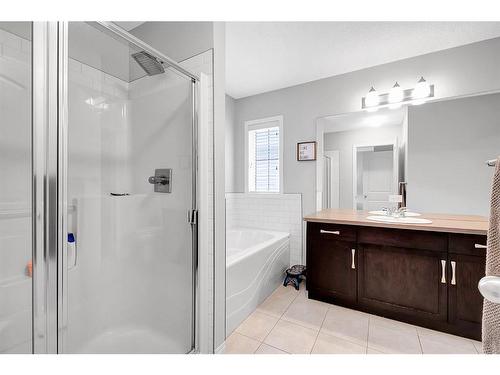 1701 Legacy Circle Se, Calgary, AB - Indoor Photo Showing Bathroom