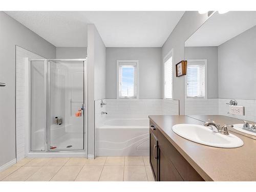 1701 Legacy Circle Se, Calgary, AB - Indoor Photo Showing Bathroom