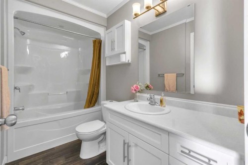 421 Main Street, Champion, AB - Indoor Photo Showing Bathroom