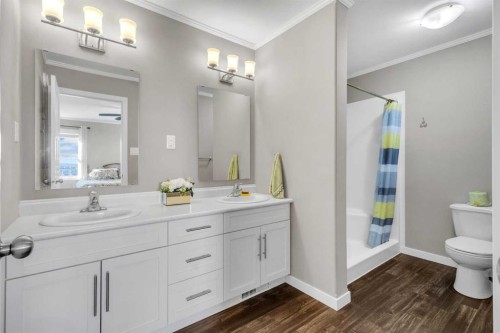 421 Main Street, Champion, AB - Indoor Photo Showing Bathroom