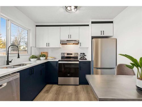 96 Abergale Way Ne, Calgary, AB - Indoor Photo Showing Kitchen With Stainless Steel Kitchen With Double Sink With Upgraded Kitchen