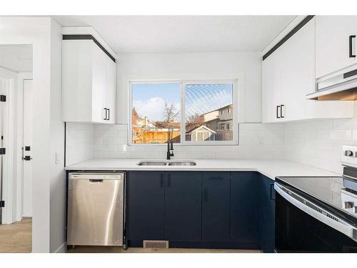 96 Abergale Way Ne, Calgary, AB - Indoor Photo Showing Kitchen With Double Sink